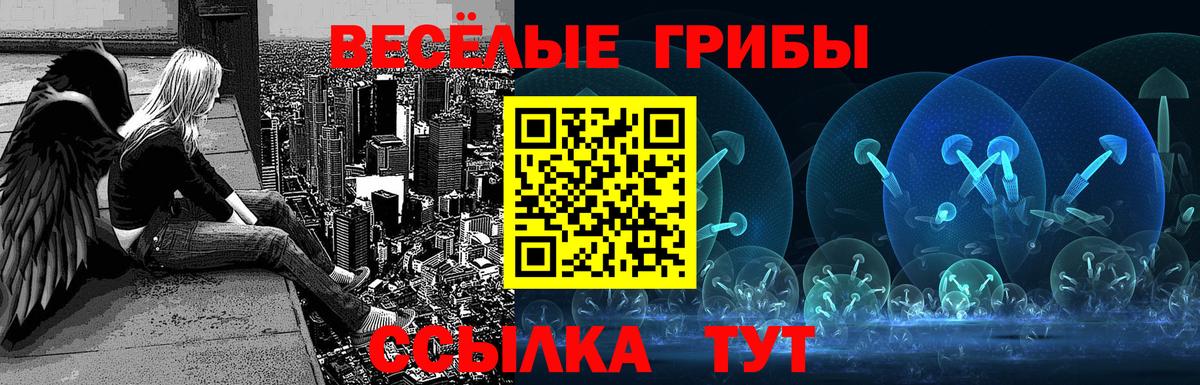 Псилоцибиновые грибы прущие грибы Северск