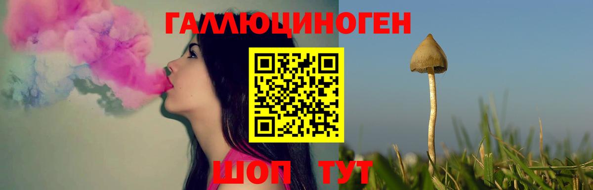 Галлюциногенные грибы Psilocybe  Псилоцибиновые грибы Magic Shrooms  Вход с VPN  Северск 